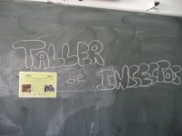 Taller de insectos