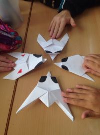 Moscas de papel, estudiando los invertebrados