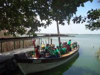 Salida escolar a la Albufera